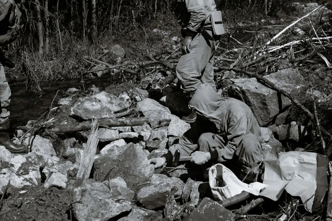 Human health and the environment